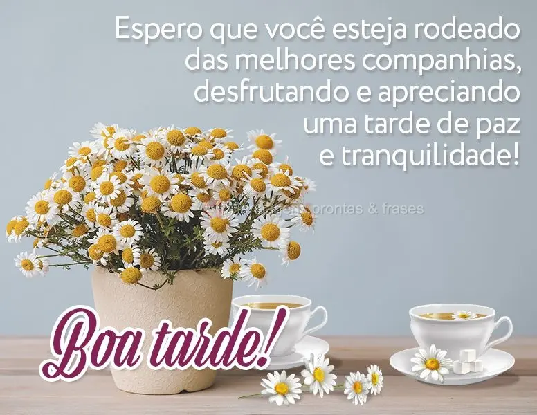 Espero que você esteja rodeado das melhores companhias, desfrutando e apreciando uma tarde de paz e tranquilidade! Boa tarde!