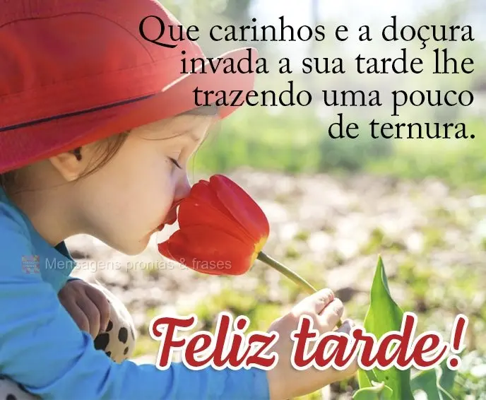 Que os carinhos e a doçura invada a sua tarde lhe trazendo um pouco de ternura.  Feliz tarde!