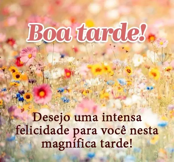 Desejo uma intensa felicidade para você nesta magnífica tarde! Boa tarde!