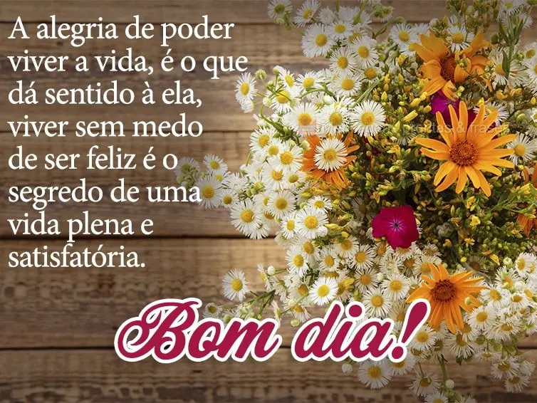 A alegria de poder viver a vida, é o que dá sentido à ela, viver sem medo de ser feliz é o segredo de uma vida plena e satisfatória. Bom dia!