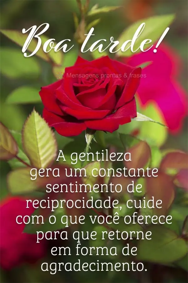A gentileza gera um constante sentimento de reciprocidade. Cuide com o que você oferece para que retorne em forma de agradecimento. Boa tarde!