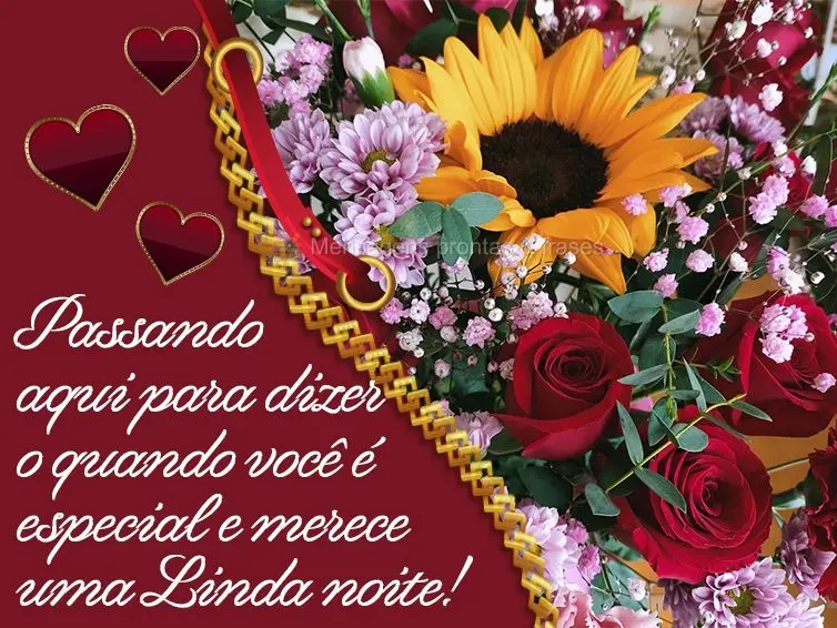 Passando aqui para dizer o quanto você é especial e merece uma  Linda noite!