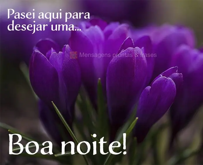 Passei aqui para desejar uma... Boa noite!