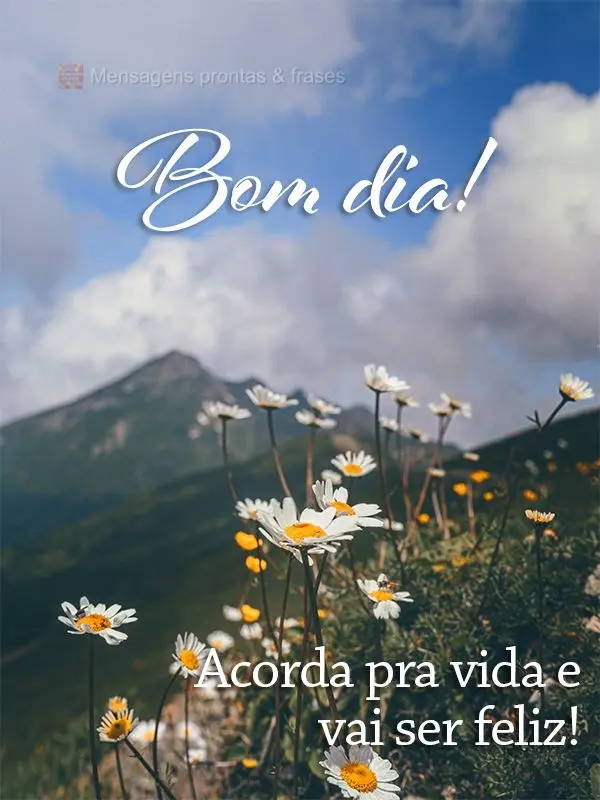 Acorda pra vida e vai ser feliz! Bom dia!