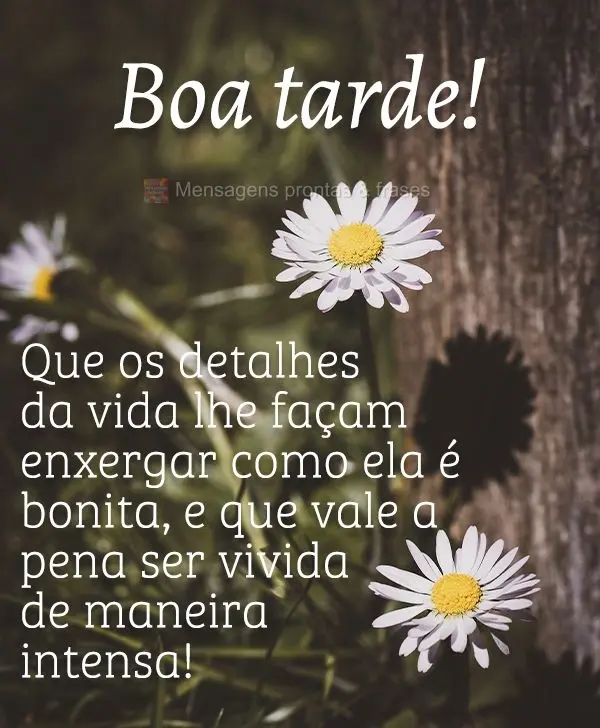 Que os detalhes da vida te façam enxergar como ela é bonita e que vale a pena ser vivida de maneira intensa! Boa tarde! 