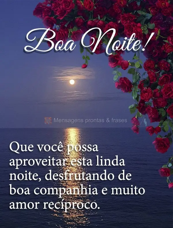 Que você possa aproveitar esta linda noite desfrutando de boa companhia e muito amor recíproco. Boa noite! 