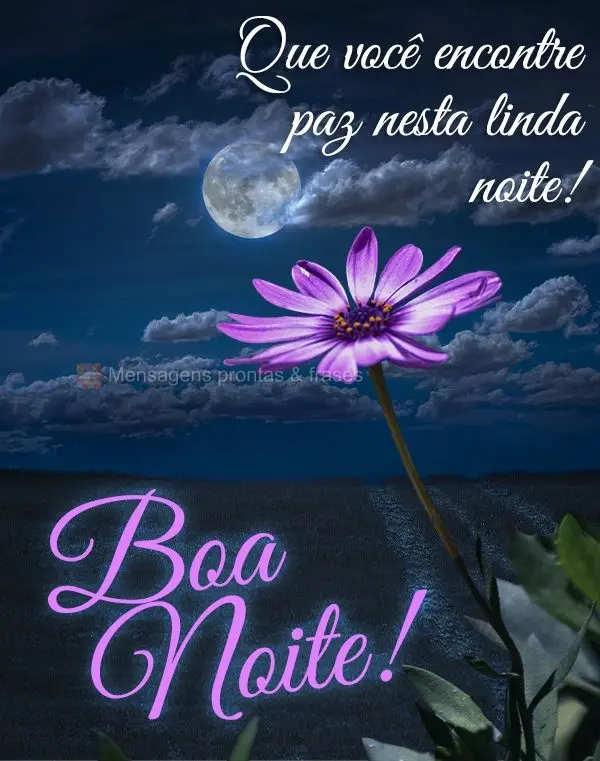 Que você encontre paz nesta linda noite! Boa noite! 