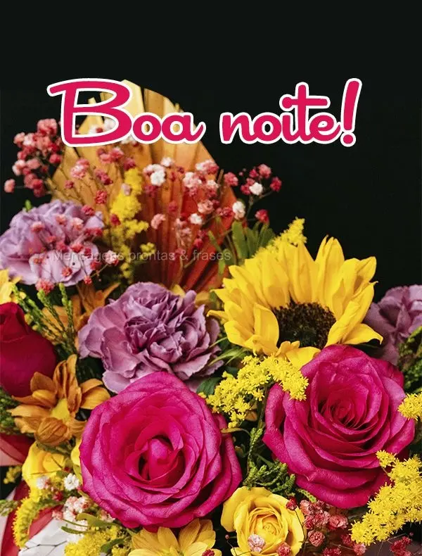 Boa noite!