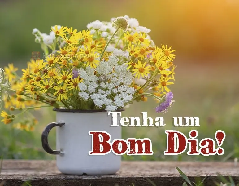 Tenha um Bom dia!