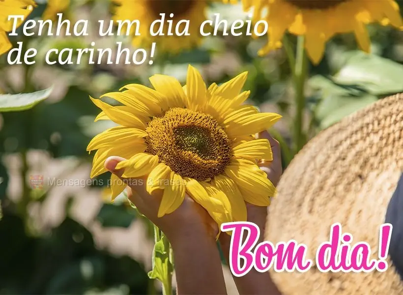 Tenha um dia cheio de carinho! Bom dia!