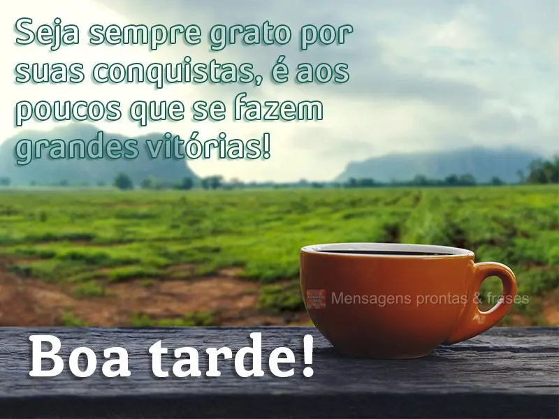 Seja sempre grato por suas conquistas, é aos poucos que se fazem grandes vitórias! Boa tarde!
