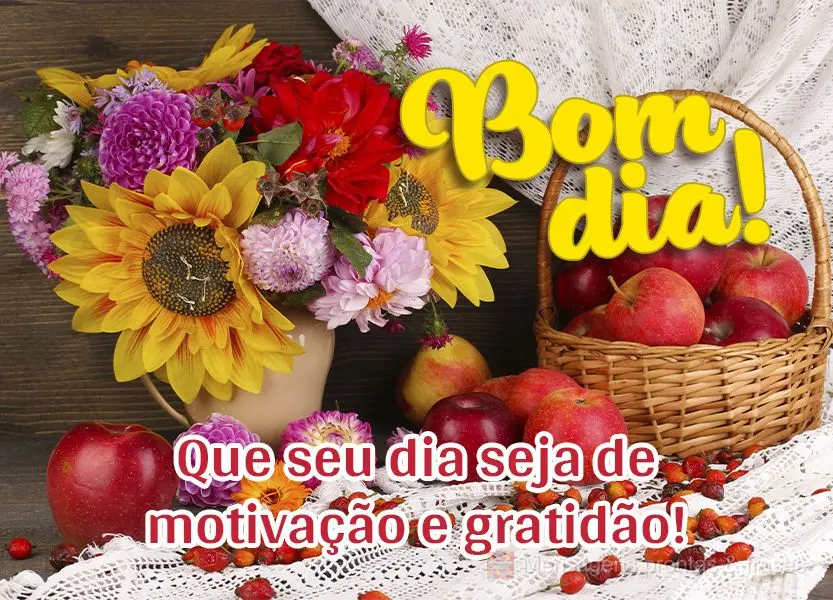 Que seu dia seja de motivação e gratidão! Bom dia!