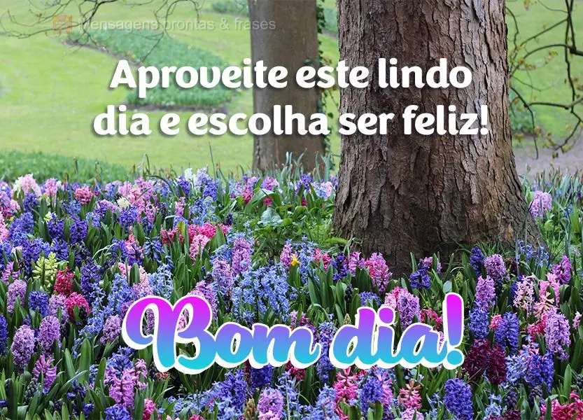 Aproveite este lindo dia e escolha ser feliz!  Bom dia!