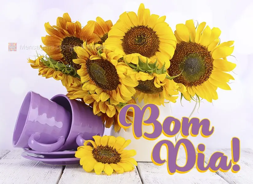 Bom dia!