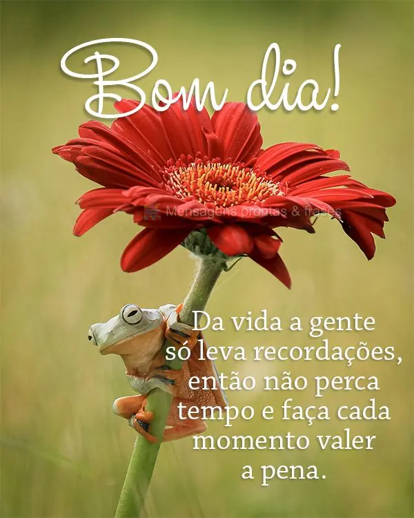 Da vida a gente só leva recordações, então não perca tempo e faça cada momento valer a pena. Bom dia!