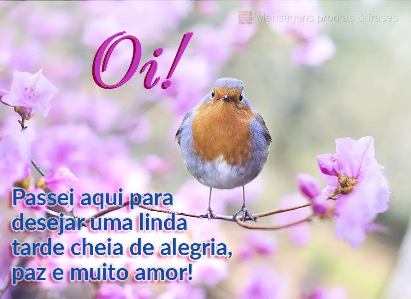 Oi! Passei aqui para desejar uma linda tarde cheia de alegria, paz e muito amor!