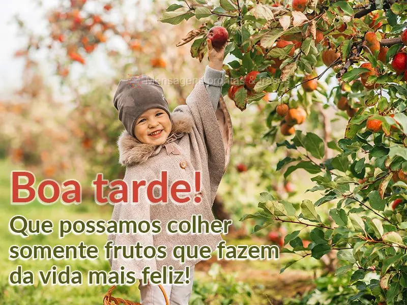 Que possamos colher somente frutos que fazem a vida mais feliz! Boa tarde!
