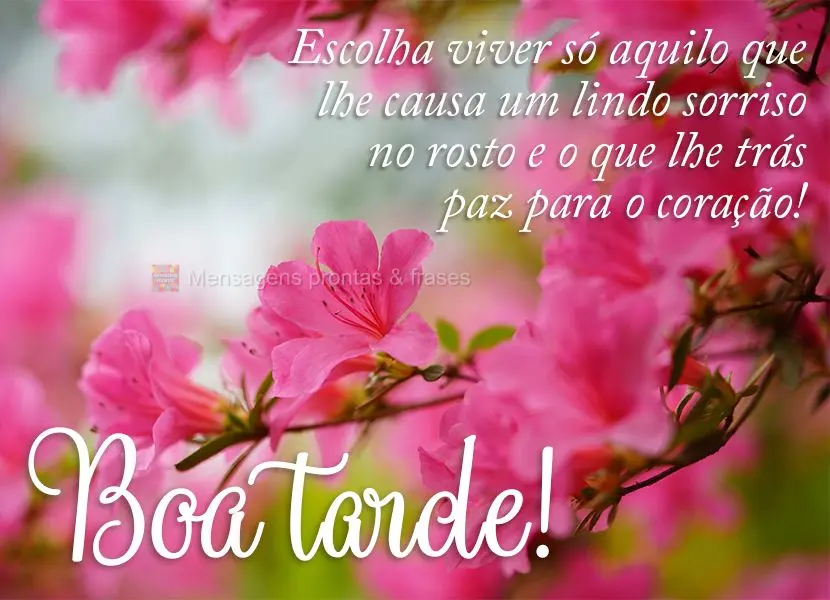 Escolha viver só aquilo que lhe causa um lindo sorriso no rosto e o que lhe trás paz para o coração! Boa tarde!