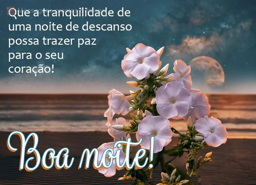 Que a tranquilidade de uma noite de descanso possa trazer paz para o seu coração!  Boa noite!