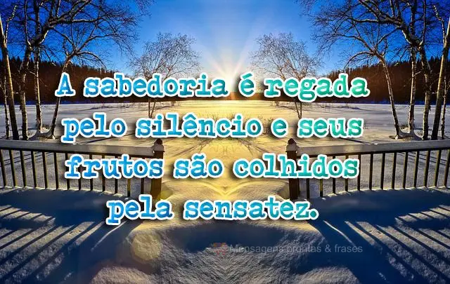 A sabedoria é regada pelo silêncio e seus frutos são colhidos pela sensatez.
