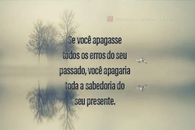 Se você apagasse todos os erros do seu passado, você apagaria toda a sabedoria do seu presente.
