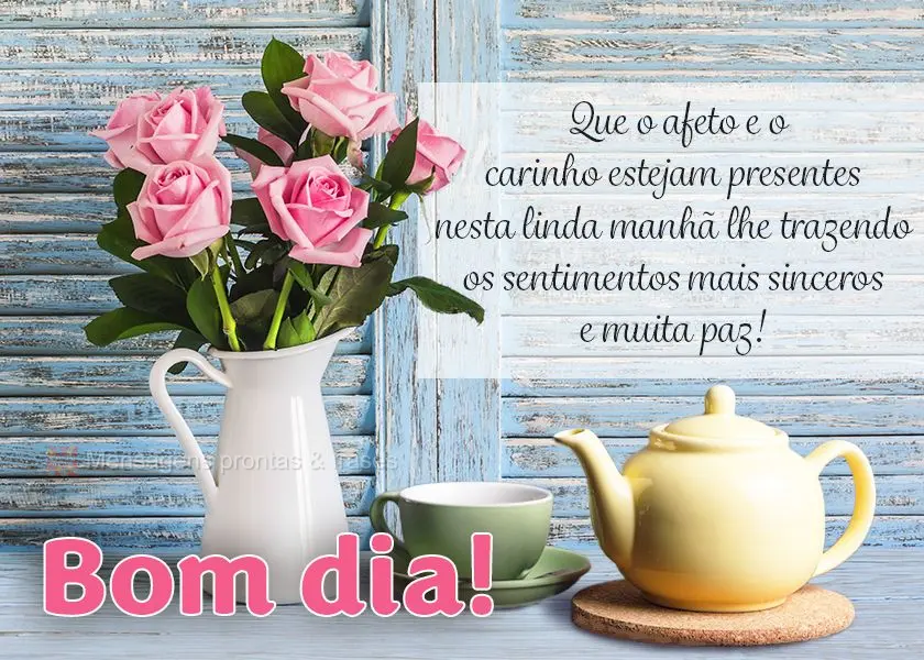 Que o afeto e o carinho estejam presentes nesta linda manhã lhe trazendo os sentimentos mais sinceros e muita paz! Bom dia! 