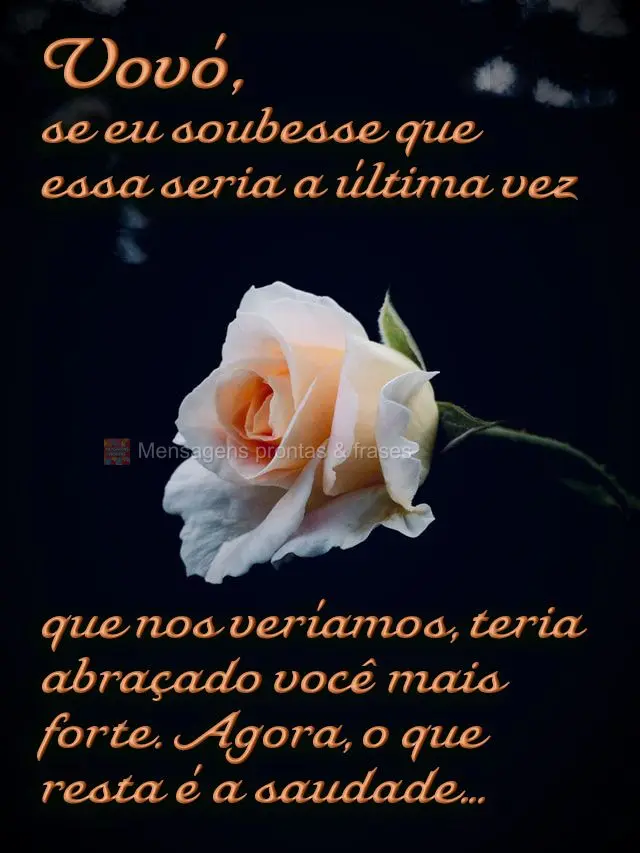 Vovó, se eu soubesse que essa seria a última vez que nos veríamos, teria abraçado você mais forte. Agora, o que resta é a saudade...
