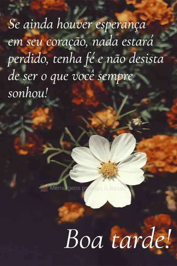Se ainda houver esperança em seu coração, nada estará perdido, tenha fé e não desista de ser o que você sempre sonhou! Boa tarde!