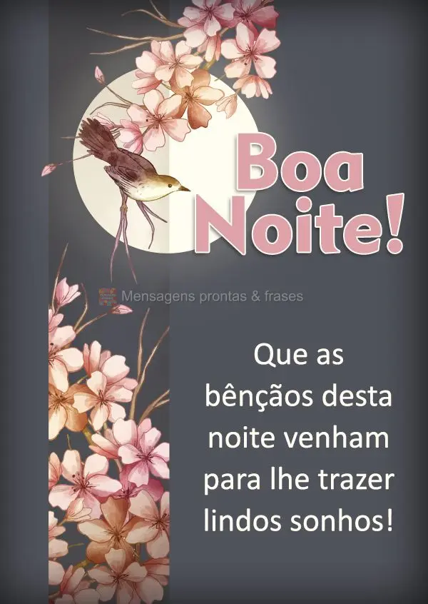 Que as bênçãos desta noite venham para lhe trazer lindos sonhos! Boa noite! 