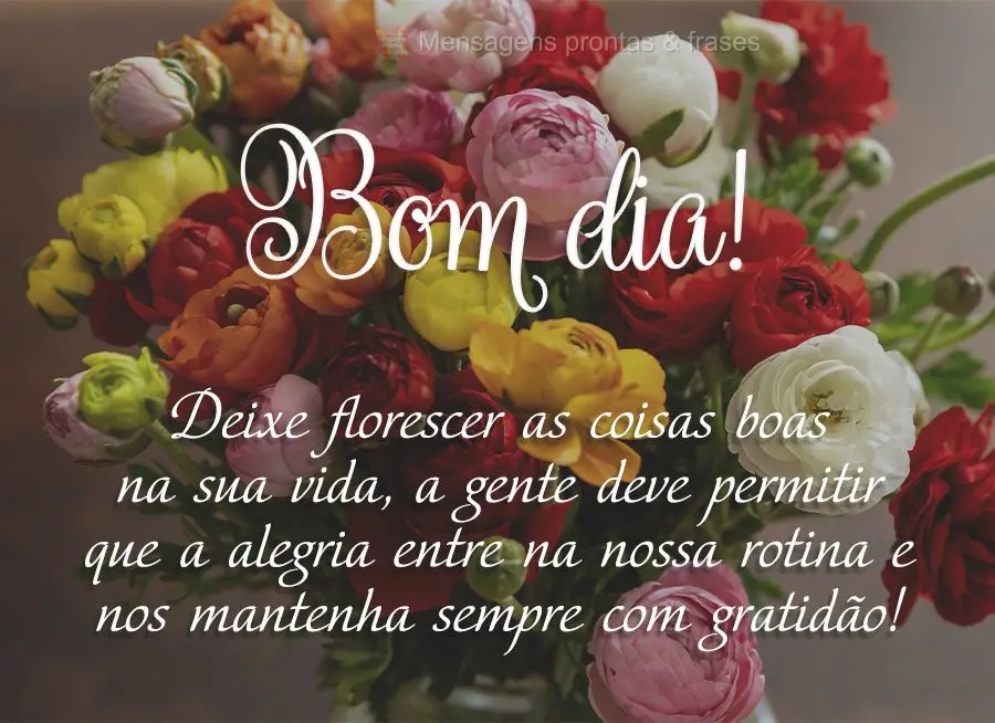 Deixe florescer as coisas boas na sua vida, a gente deve permitir que a alegria entre na nossa rotina e nos mantenha sempre com gratidão! Bom dia! 