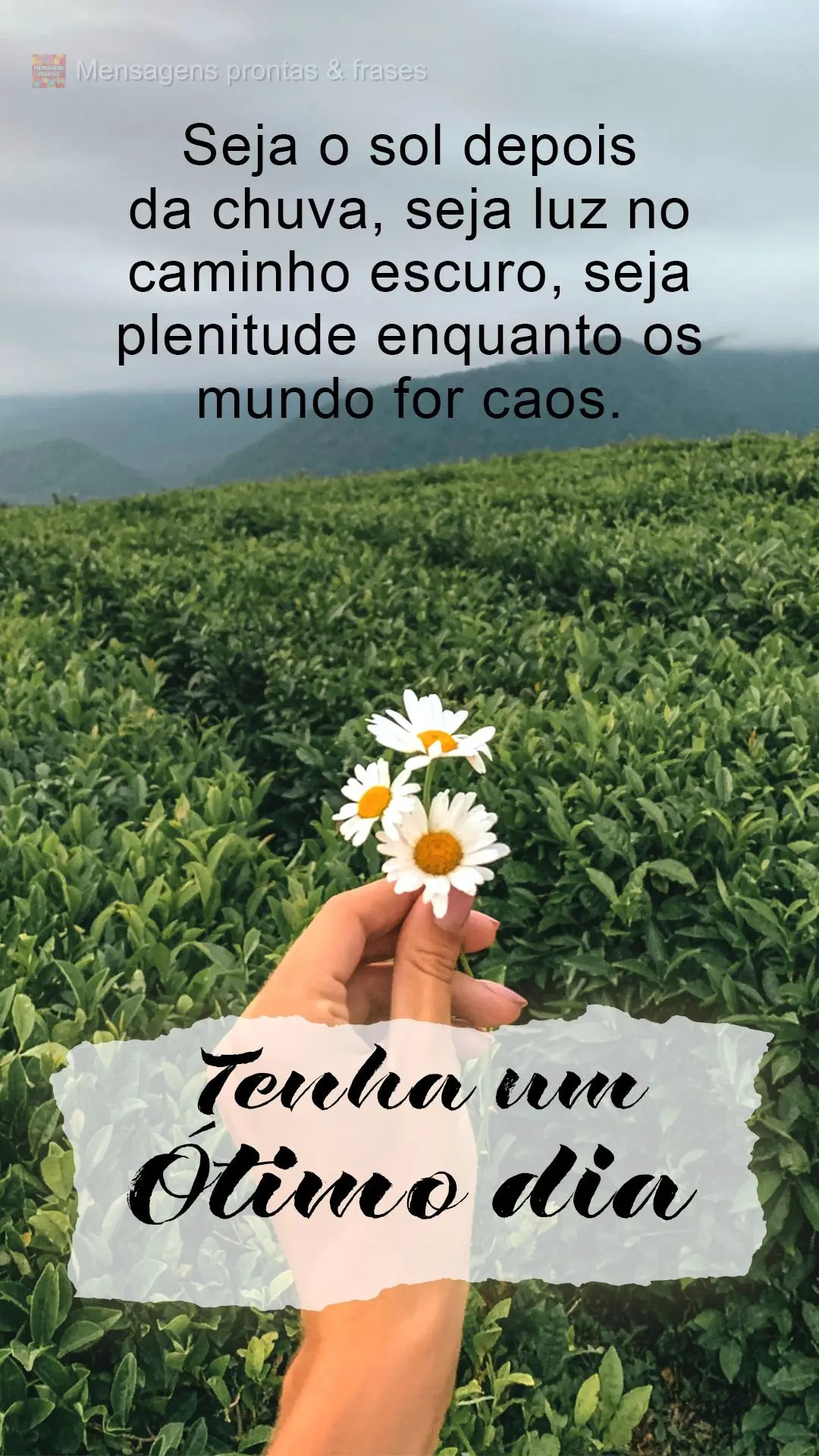 Seja o sol depois da chuva, seja luz no caminho escuro, seja plenitude enquanto o mundo for caos.  Tenha um ótimo dia!