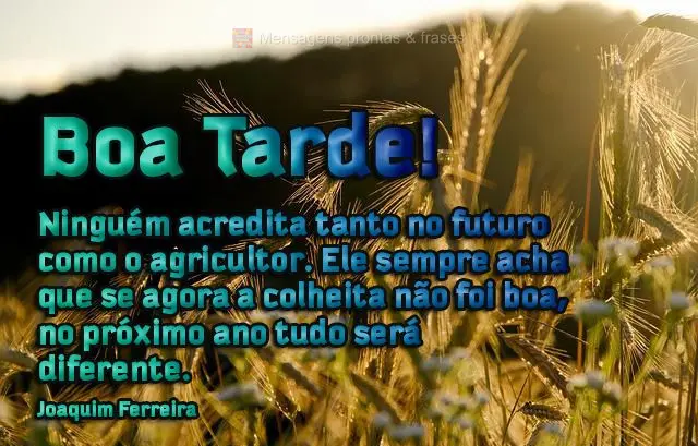 Ninguém acredita tanto no futuro como o agricultor. Ele sempre acha que se agora a colheita não foi boa, no próximo ano tudo será diferente.  Boa tar...