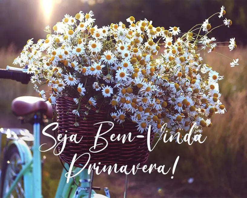 Seja Bem-Vinda Primavera!