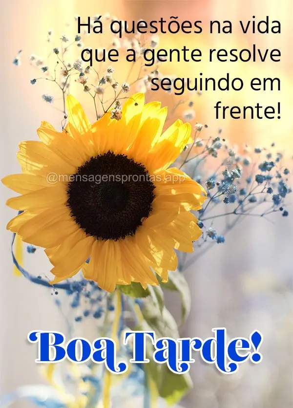 Há questões na vida que a gente resolve seguindo em frente! Boa tarde!