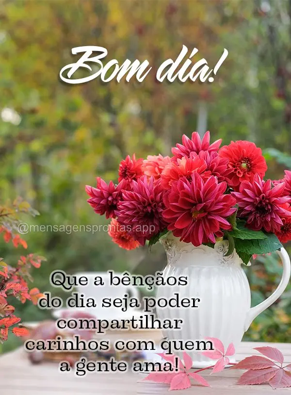 Que a bênçãos do dia seja poder compartilhar carinhos com quem a gente ama! Bom dia!