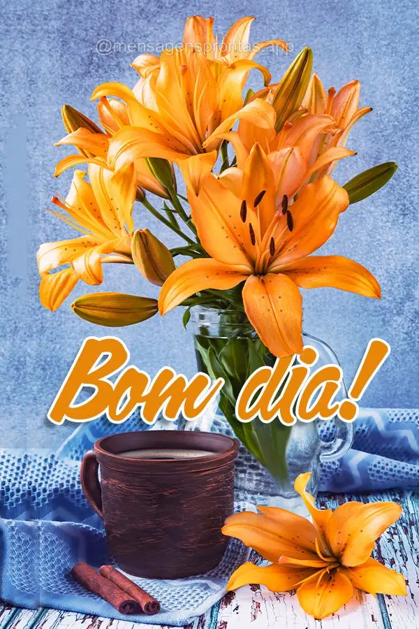 Bom dia!