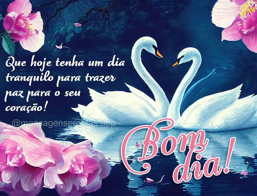 Que hoje tenha um dia tranquilo para trazer paz para o seu coração! Bom dia
