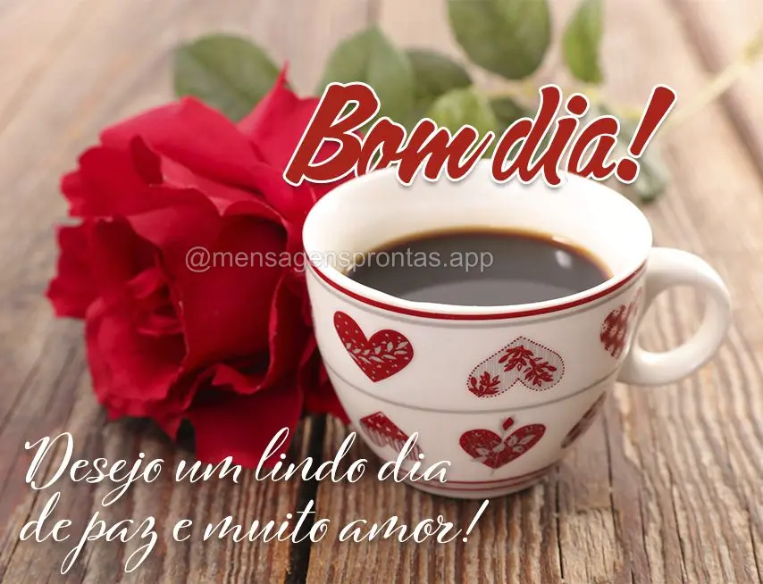 Desejo um lindo dia de paz e muito amor! Bom dia! 