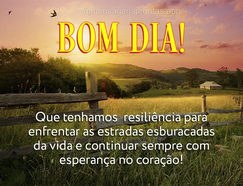 Que tenhamos resiliência para enfrentar as estradas esburacadas da vida e continuar sempre com esperança no coração! Bom dia!