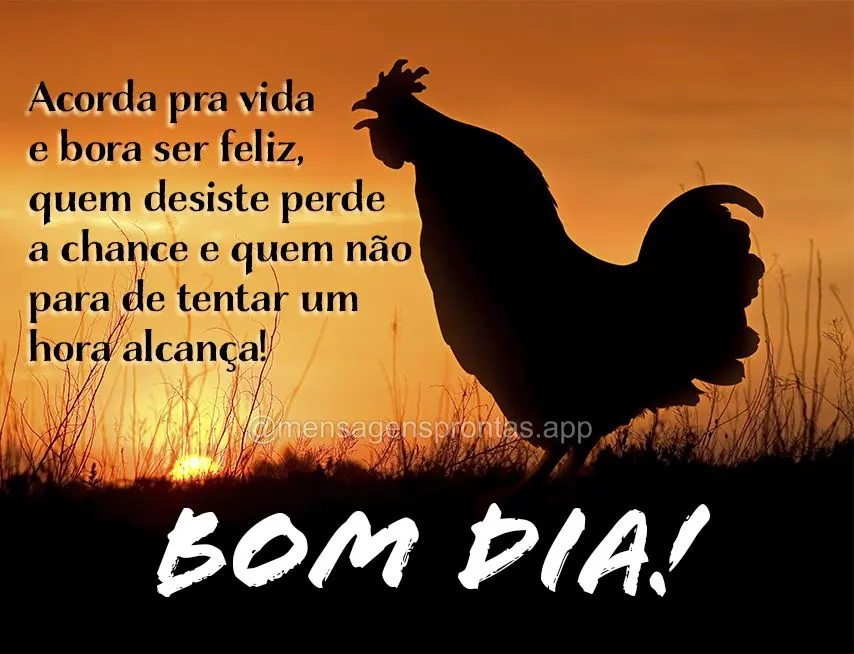 Acorda pra vida e bora ser feliz, quem desiste perde a chance e quem não para de tentar um hora alcança!  Bom dia!
