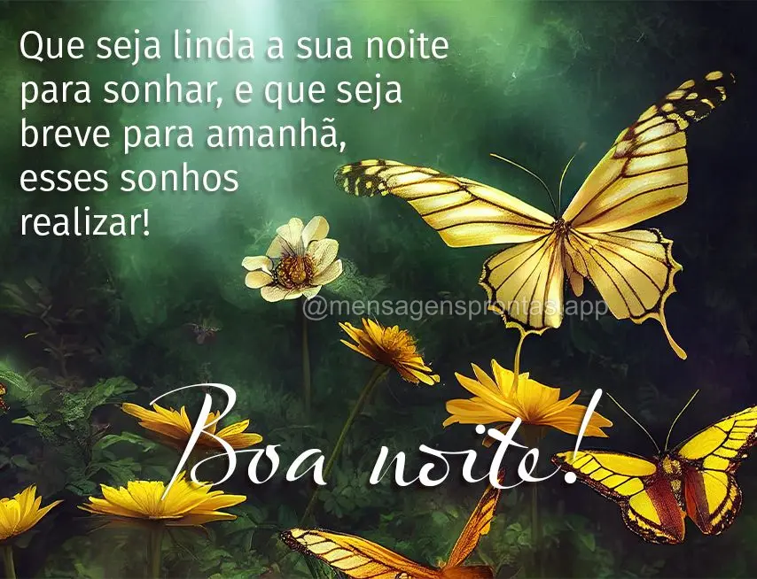 Que seja linda a sua noite para sonhar, e que seja breve para amanhã, esses sonhos realizar! Boa noite!