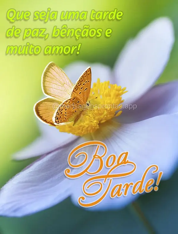 Que seja uma tarde de paz, bênçãos e muito amor! Boa tarde!