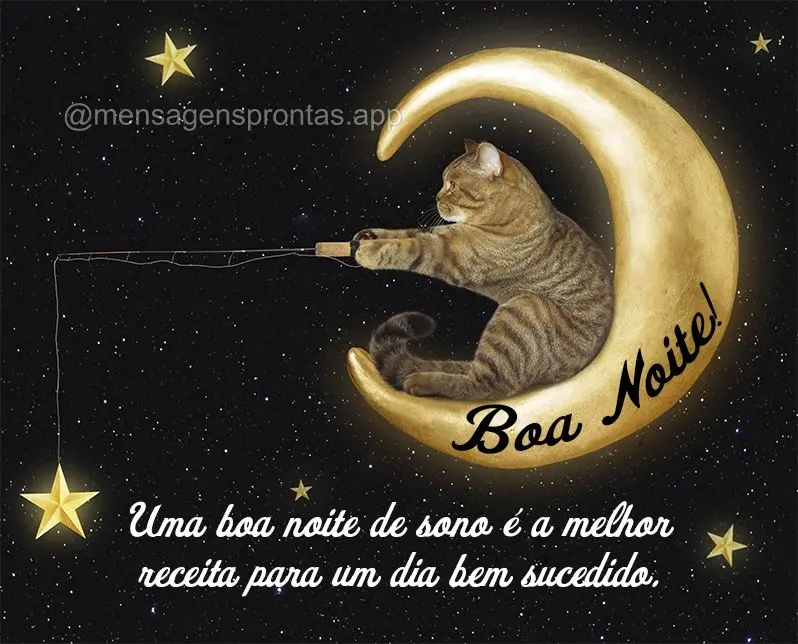 Uma boa noite de sono é a melhor receita para um dia bem sucedido. Boa noite!