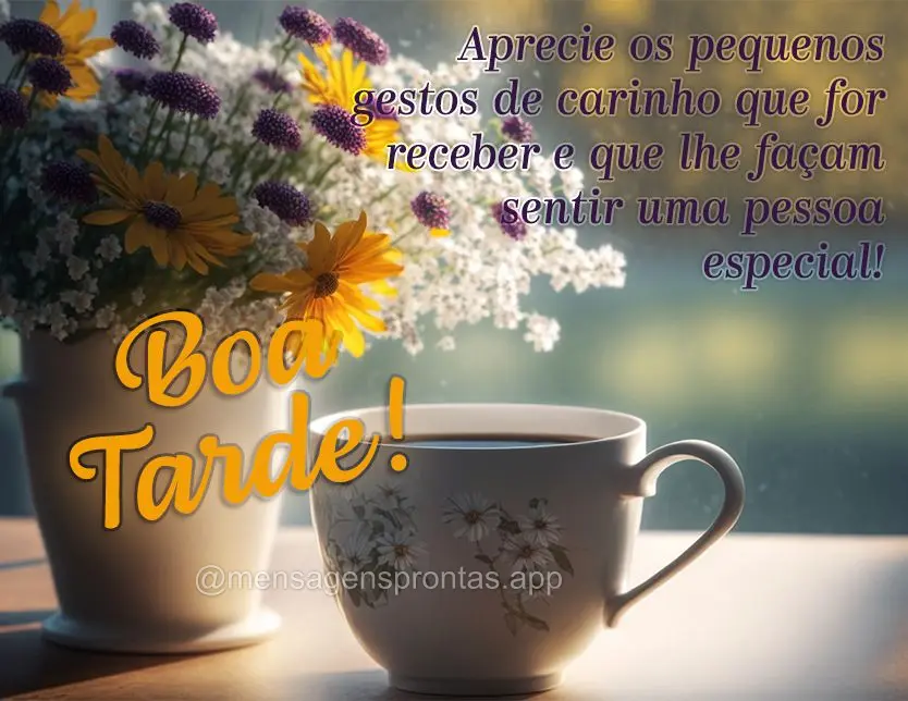 Aprecie os pequenos gestos de carinho que for receber e que lhe façam sentir uma pessoa especial! Boa tarde!