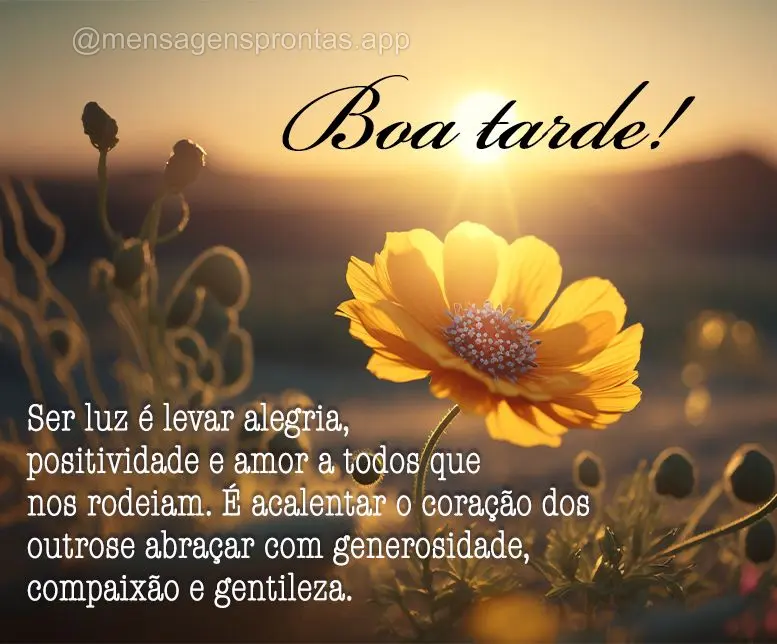 Ser luz é levar alegria, positividade e amor a todos que nos rodeiam. É acalentar o coração dos outros e abraçar com generosidade, compaixão e gent...