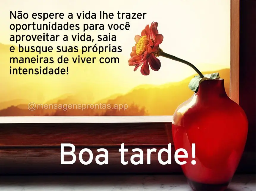 Não espere a vida lhe trazer oportunidades para você aproveitar a vida, saia e busque suas próprias maneiras de viver com intensidade!  Boa tarde!