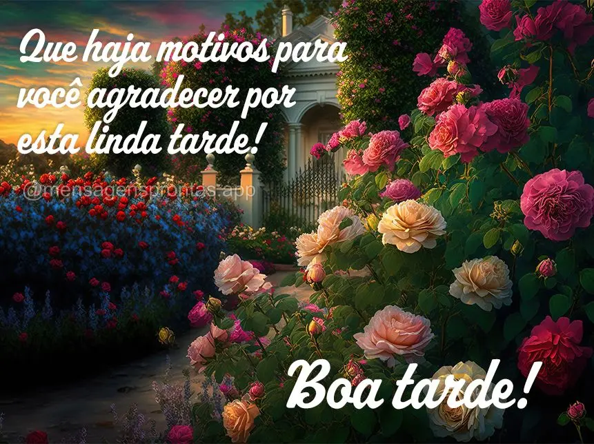 Que haja motivos para você agradecer por esta linda tarde! Boa tarde!
