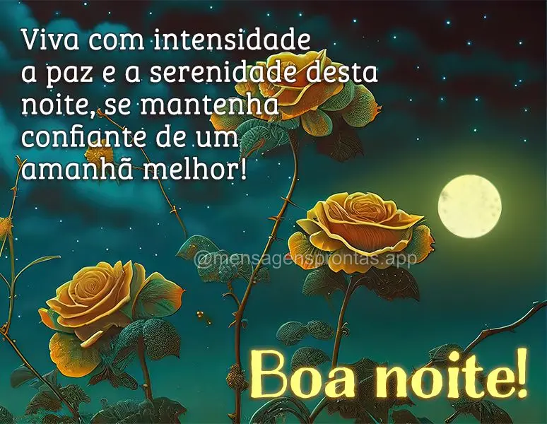 Viva com intensidade a paz e a serenidade desta noite, se mantenha confiante de um amanhã melhor! Boa noite!