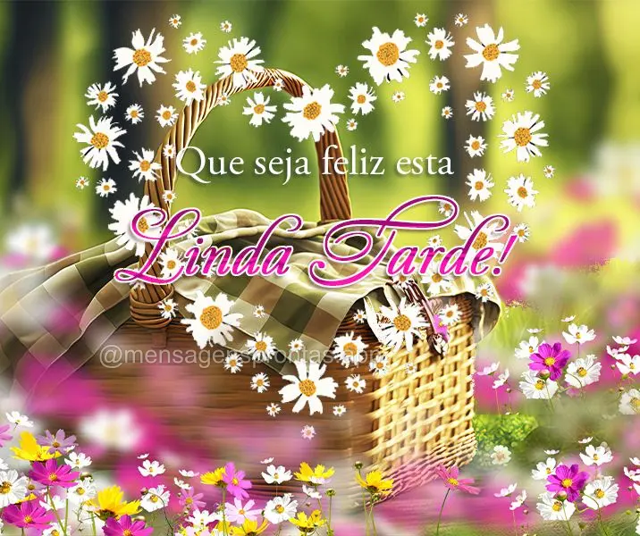 Que seja feliz esta linda tarde!