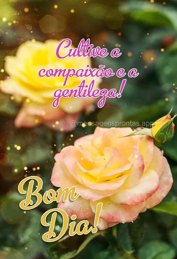 Cultive a compaixão e a gentileza! Bom dia!